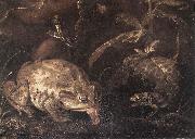 SCHRIECK, Otto Marseus van Still-Life with Insects and Amphibians (detail) qr oil painting picture wholesale